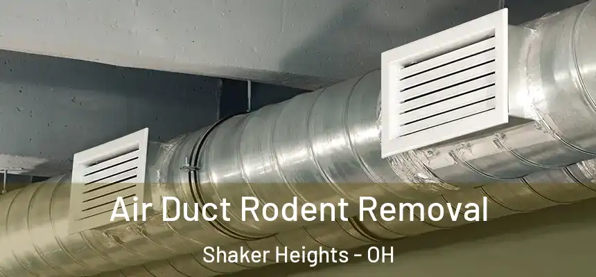  Air Duct Rodent Removal Shaker Heights - OH