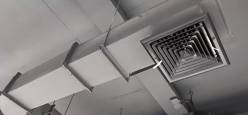 Our Pest Removal From Ducts Services in Shaker Heights, OH