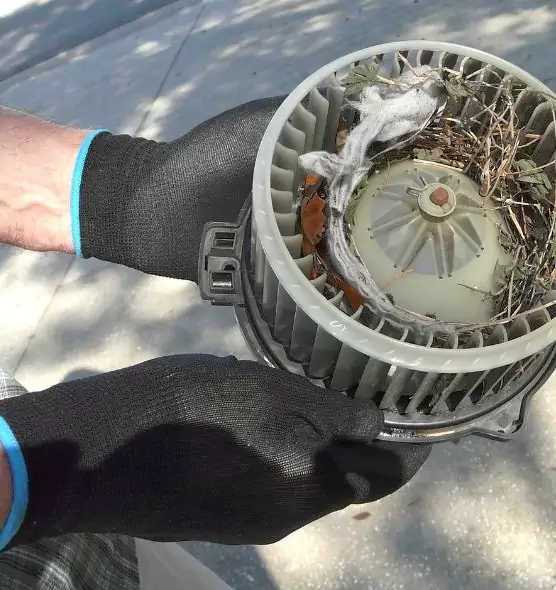 About Air Duct Mice Removal in Shaker Heights, OH