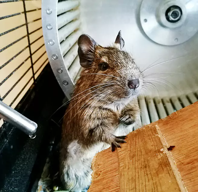 Why Homeowners & Businesses Trust Us Shaker Heights, OH