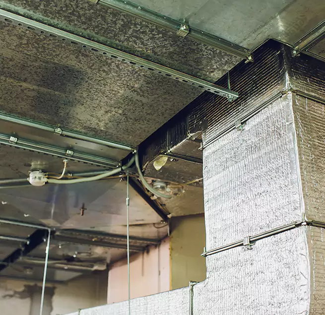 Why Homeowners & Businesses Trust Us in Shaker Heights, OH?